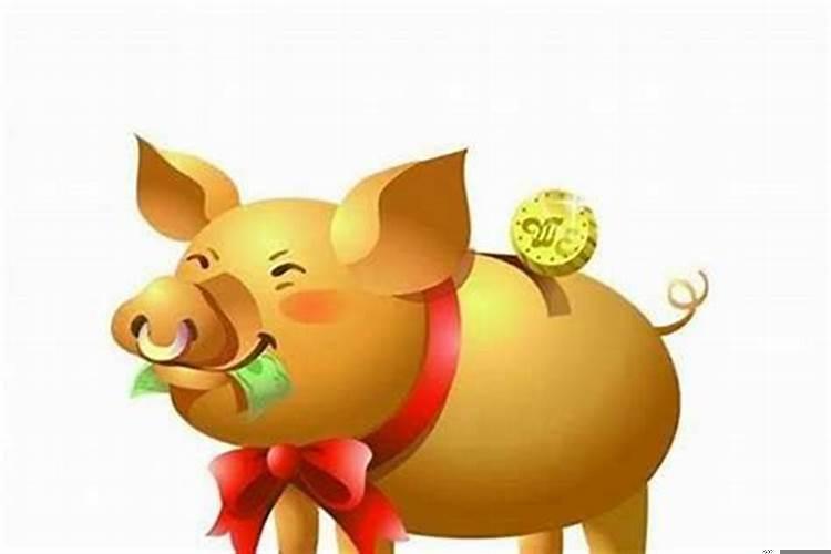 属猪的人和哪个属相合财