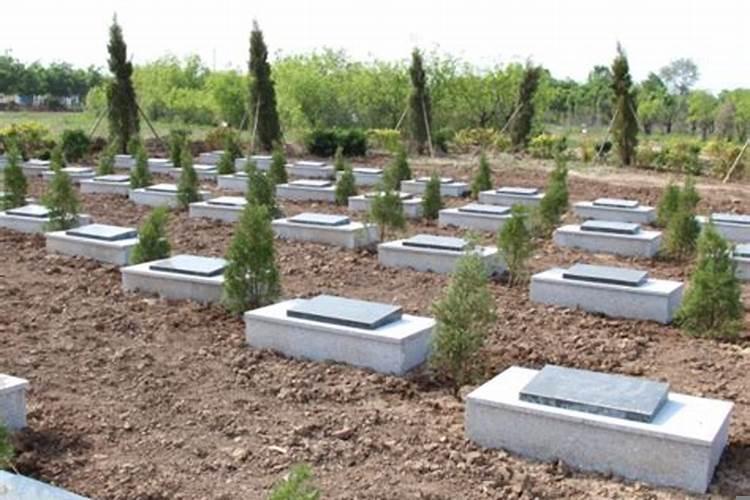 坟地深埋有什么讲究