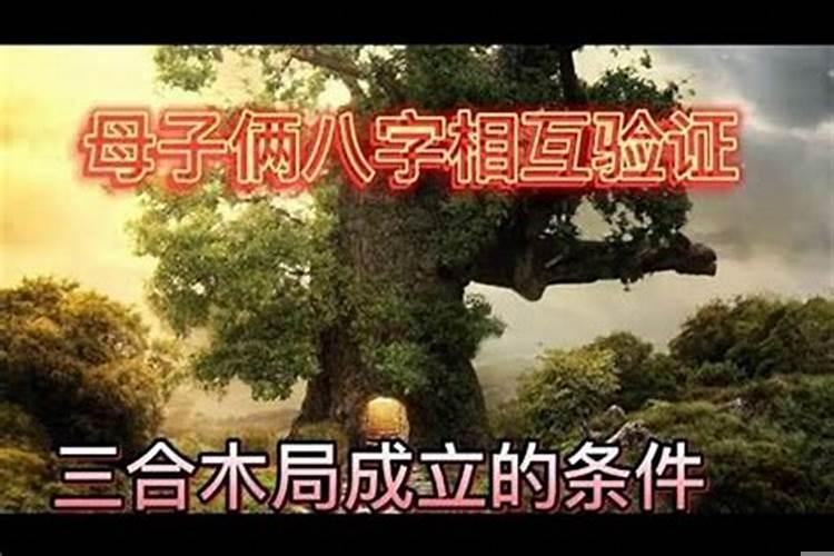 一定是前世的缘分