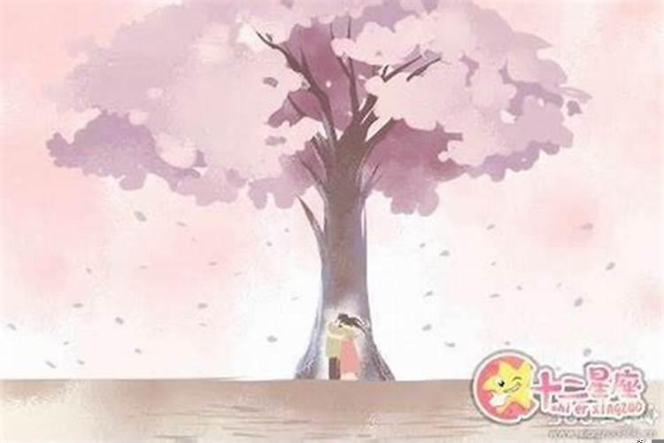 断头婚有何现象