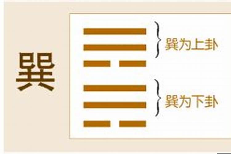 《易经》第四十四卦姤天风姤乾上巽下