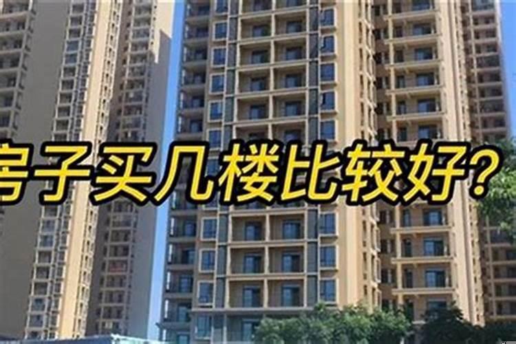 83年猪买房禁忌