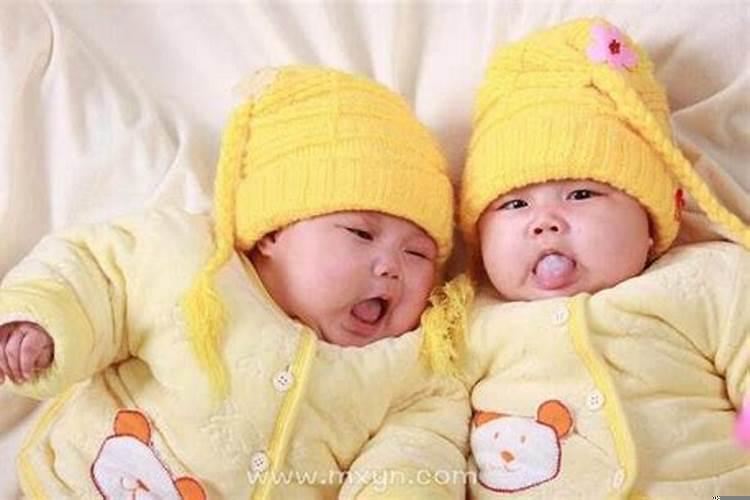 梦到生四胞胎全是女孩