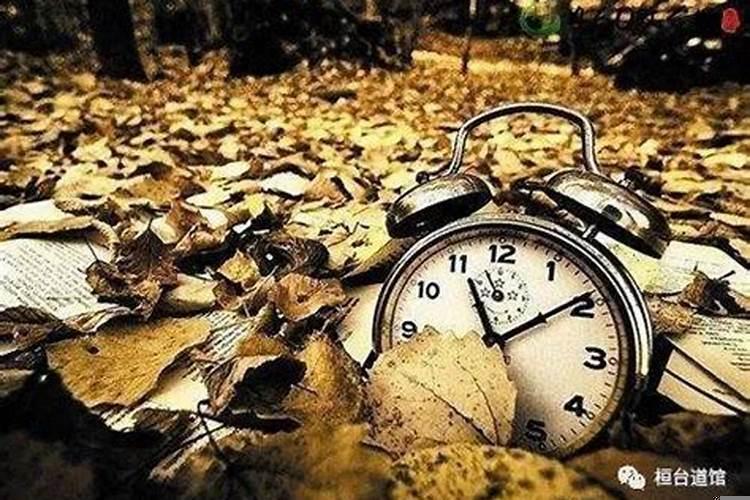 为什么说人命天注定