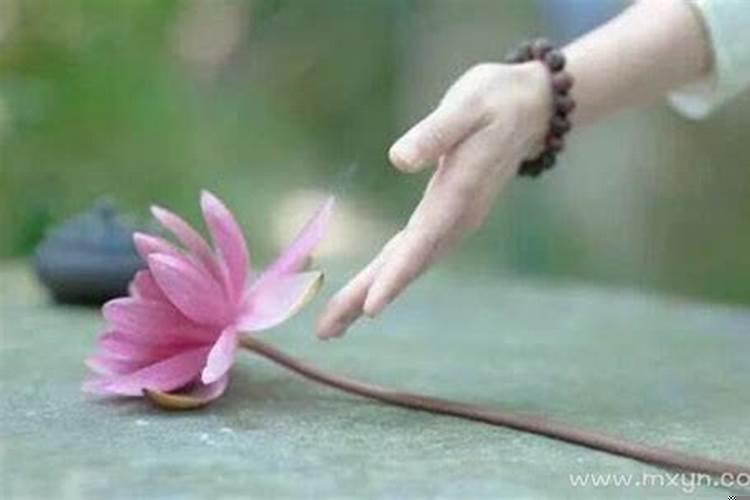 为何没有梦到死去的亲人