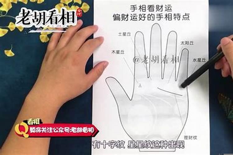 手相偏财运好