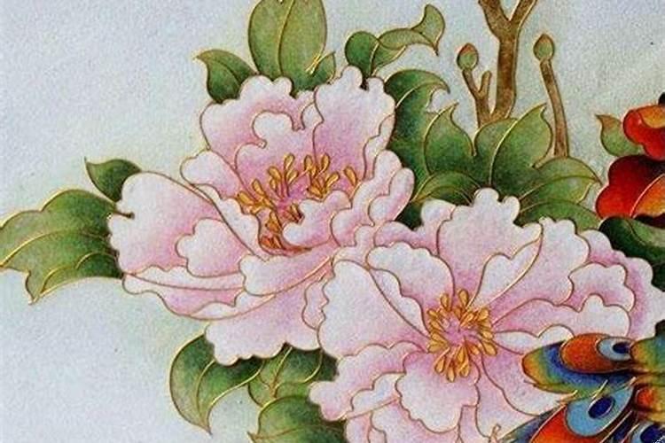 属猪今年的命运和运气