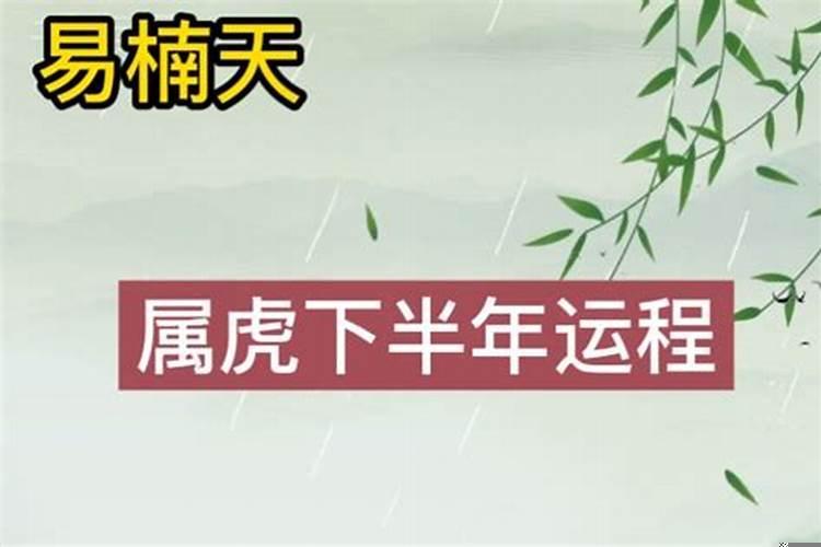 属虎的2021年的命运怎么样