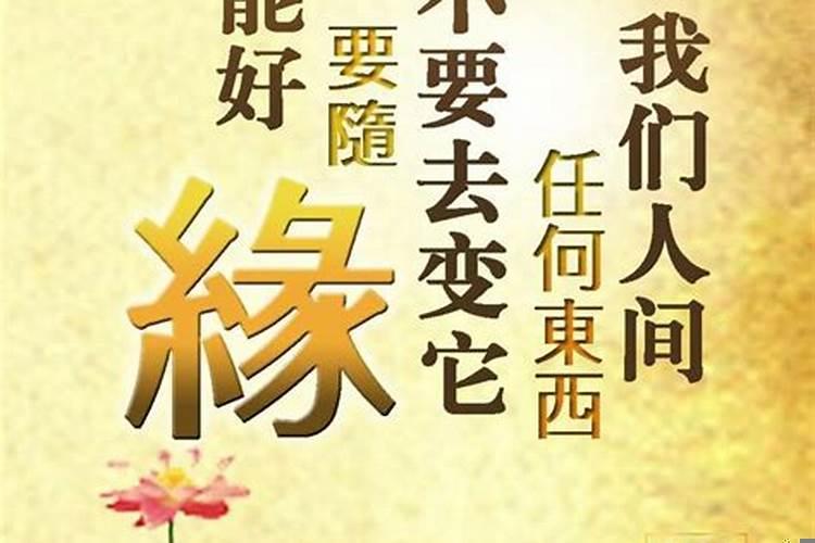 测你们的感情走向