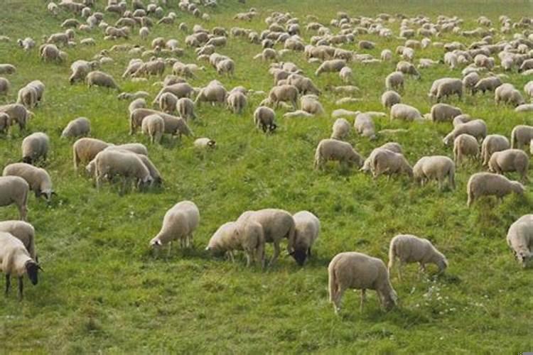 如何判断大运流年凶吉