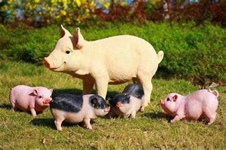 猪和狗婚配好不好