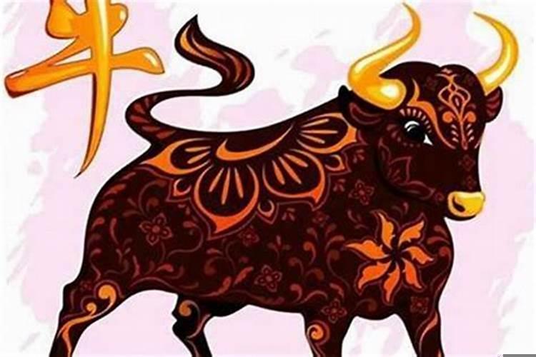 属相是什么意思