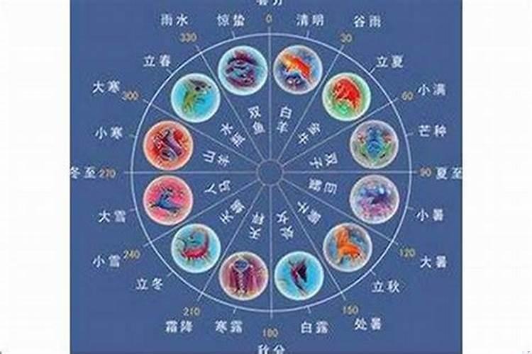 属兔的狮子男性格特点