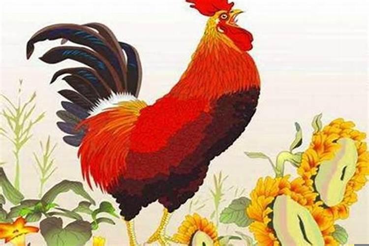 属鸡今年的运势和财运