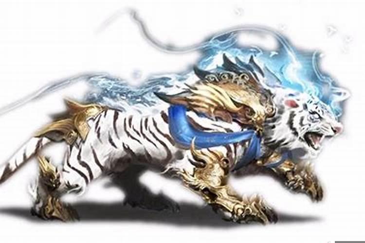 青龙会克白虎吗