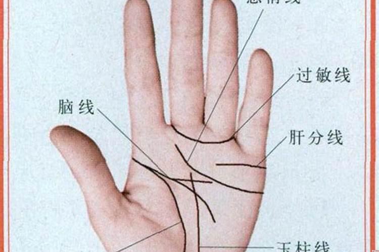 什么样的手相会孤独终老