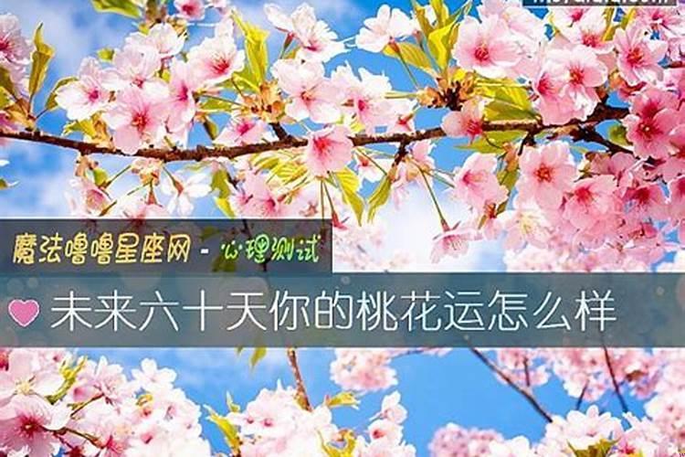 双子座如何提升运势