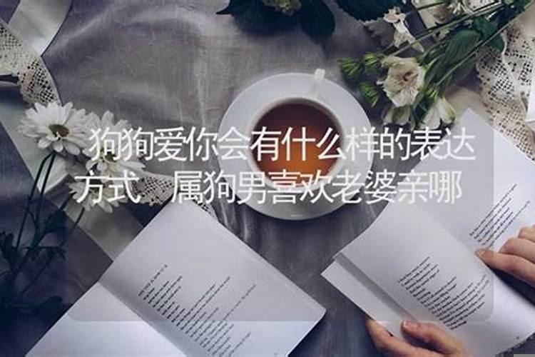 男孩女孩都属狗婚姻好不好