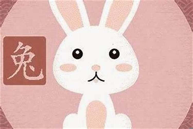 属羊属兔属猪三口人