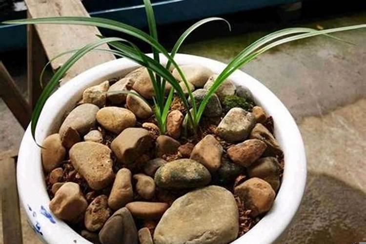 家里摆放什么辟邪东西好镇宅保平安