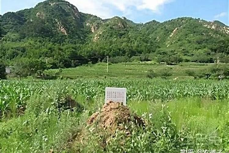 迁坟对后人好不好