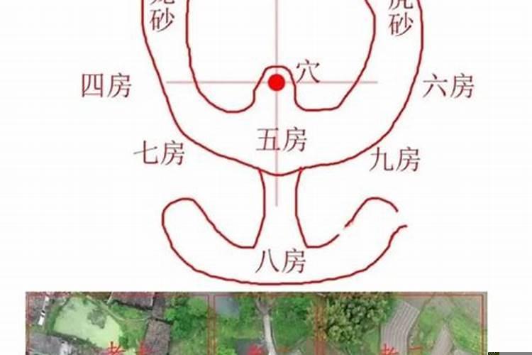 发人丁的阴宅风水特征