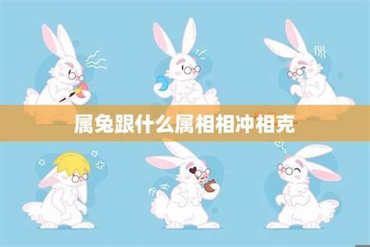 与属兔相克的生肖