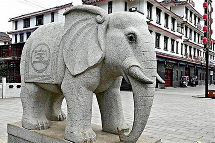 摆风水用大象摆在什么地方