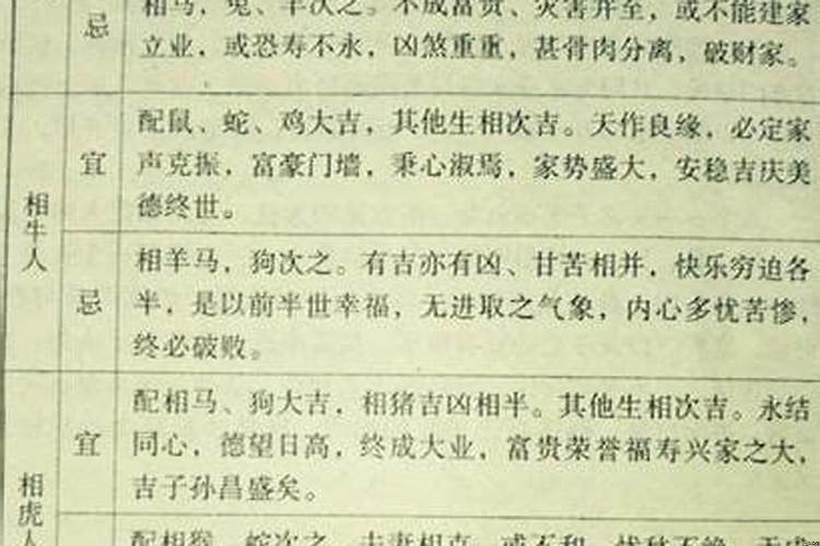 1981年鸡跟1987年的兔婚姻