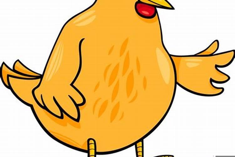 属鸡的住几层楼最好的选择