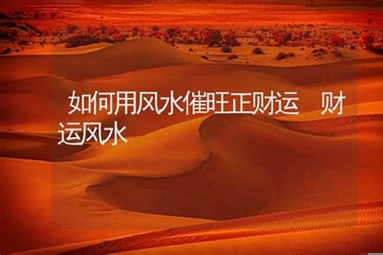 如何布局发财风水宝地