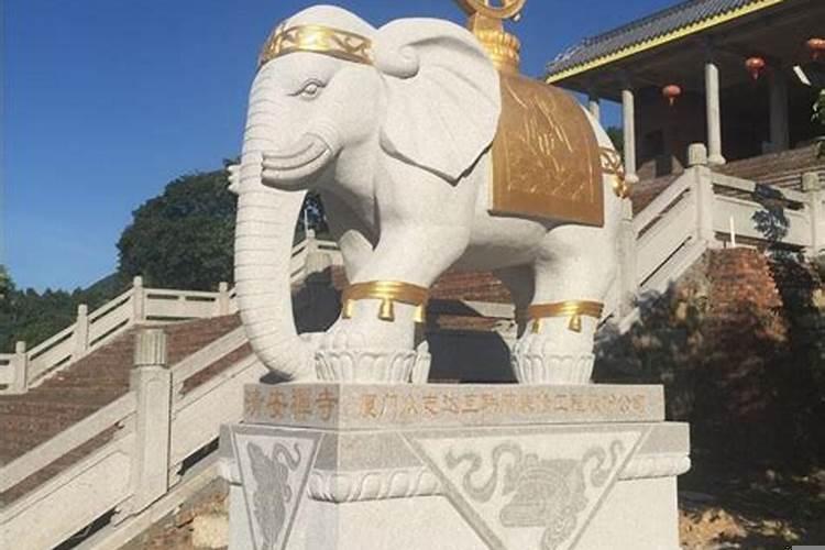 摆风水用大象摆在什么地方