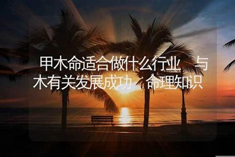 木命人适合做什么生意及职业