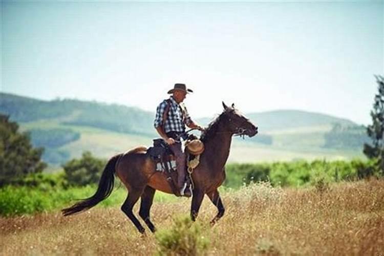 梦到儿子骑马往北跑什么意思呀