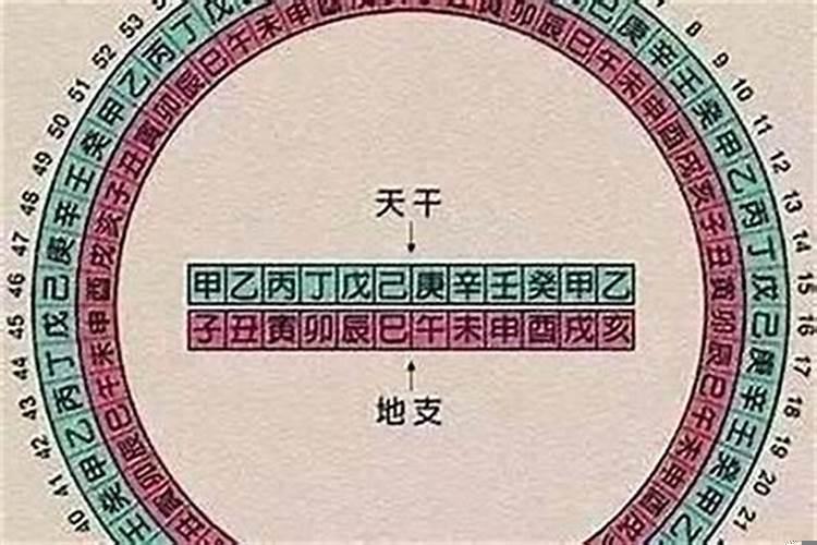 日柱时柱金舆是什么意思