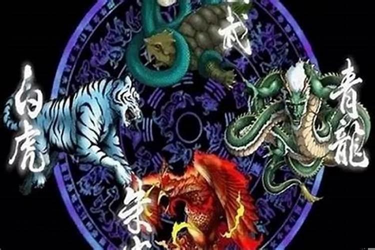 青龙会克白虎吗