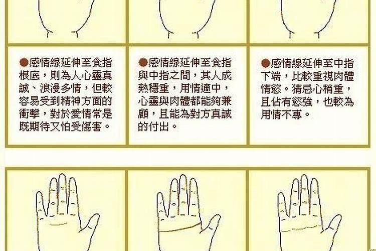 为什么手纹能看命运