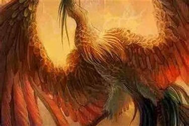 红鸾星动是结婚吗