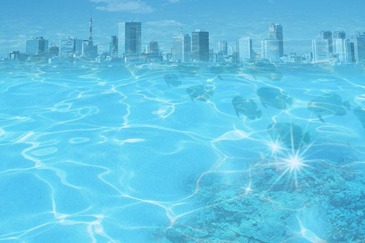 命理风水解说梅花易数解卦方法大全