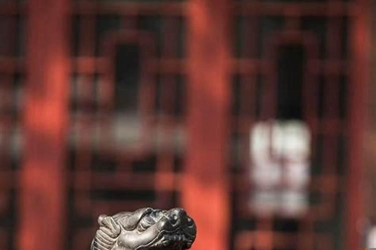 五大生肖越胖越有福