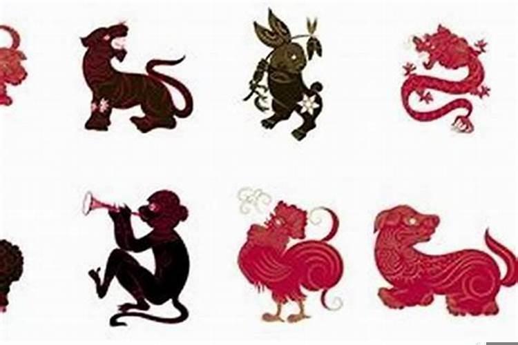 14楼不适合什么属相