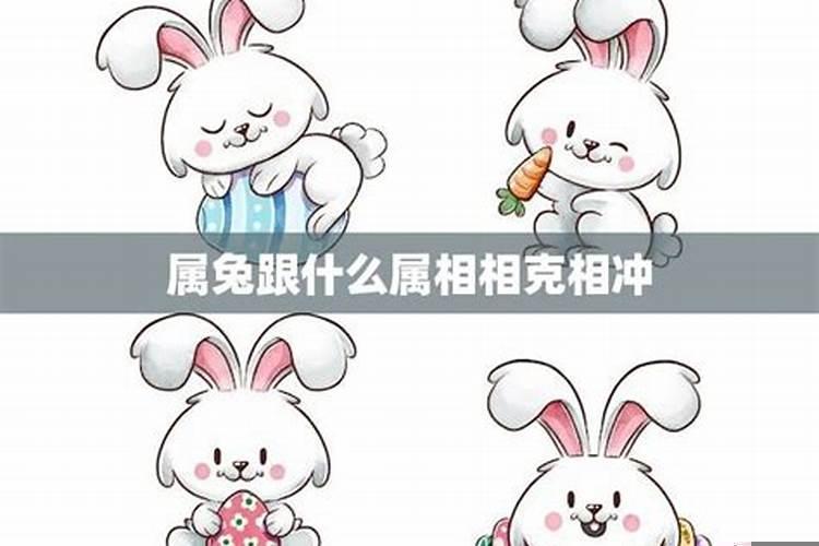 与属兔相克的生肖
