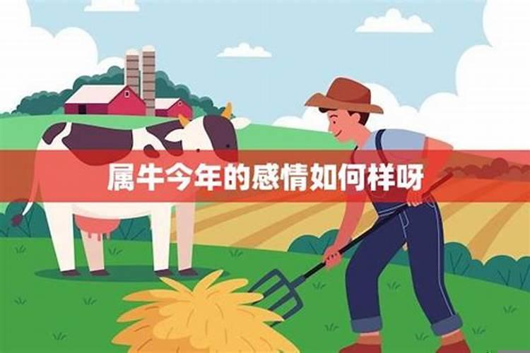 1985属牛男2021运势