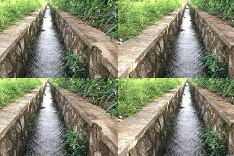 梦见水渠的流水满满流下来
