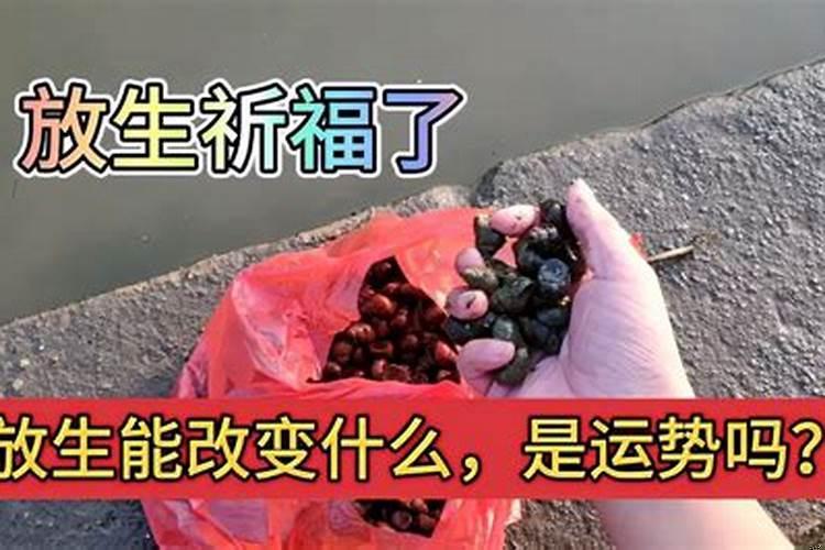 放生能改变运程吗
