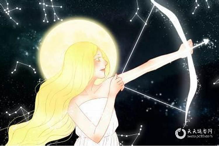 射手座今年运势2025年