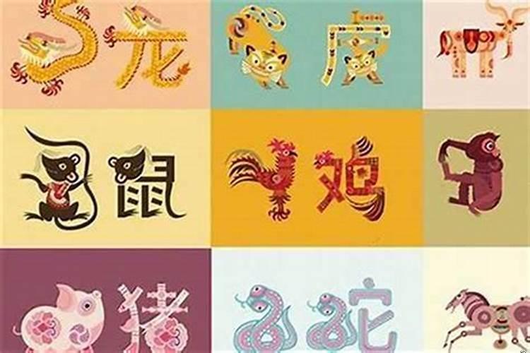 天数属相怎么算