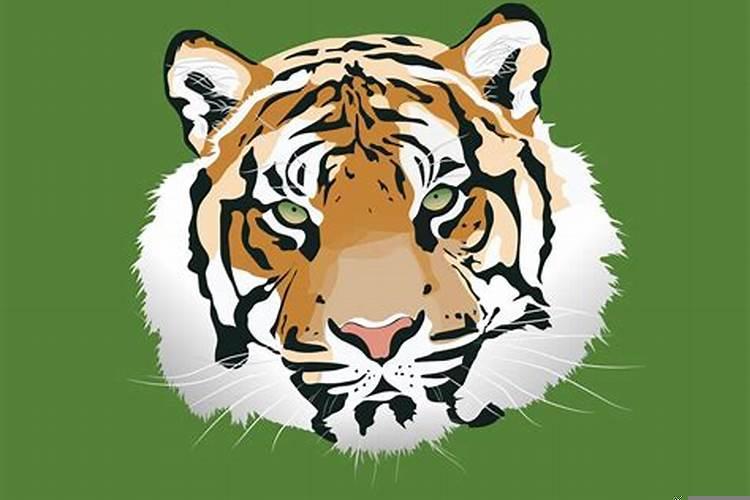 属虎人今年健康如何