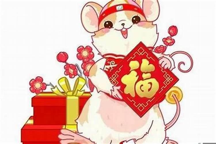 属鼠的命运好吗