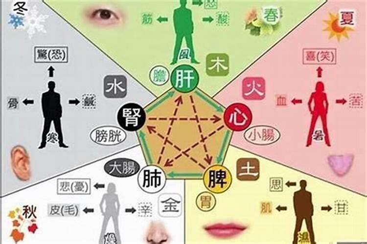 八字能看出性生活吗